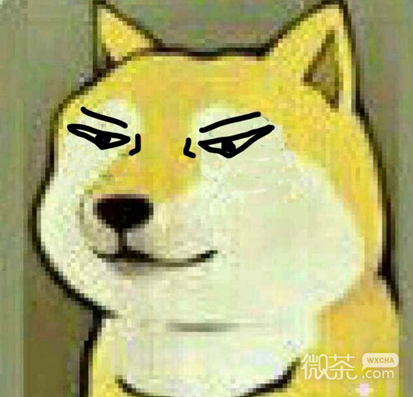 神烦狗微信搞笑表情包