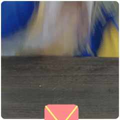 春节抢红包专用微信表情包