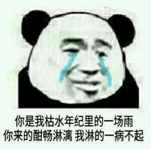 微信绿帽子表情包