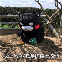 微信搞笑熊本熊恶搞表情包