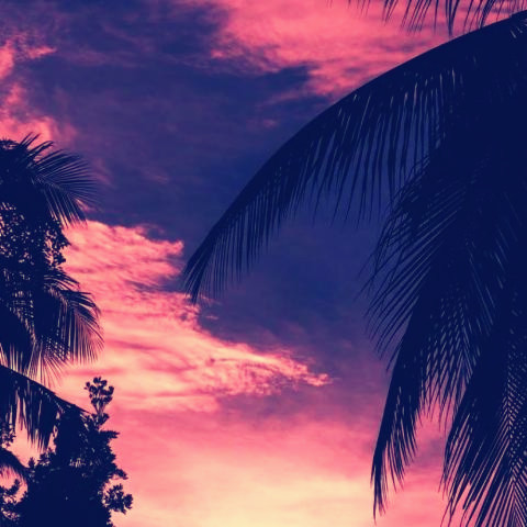 快手唯美风景头像大全（复古版）