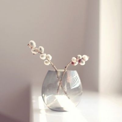 简单清新风景微信头像