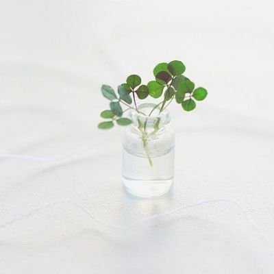 简单清新风景微信头像