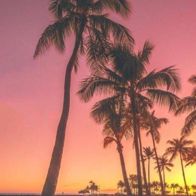 简单唯美微信风景头像