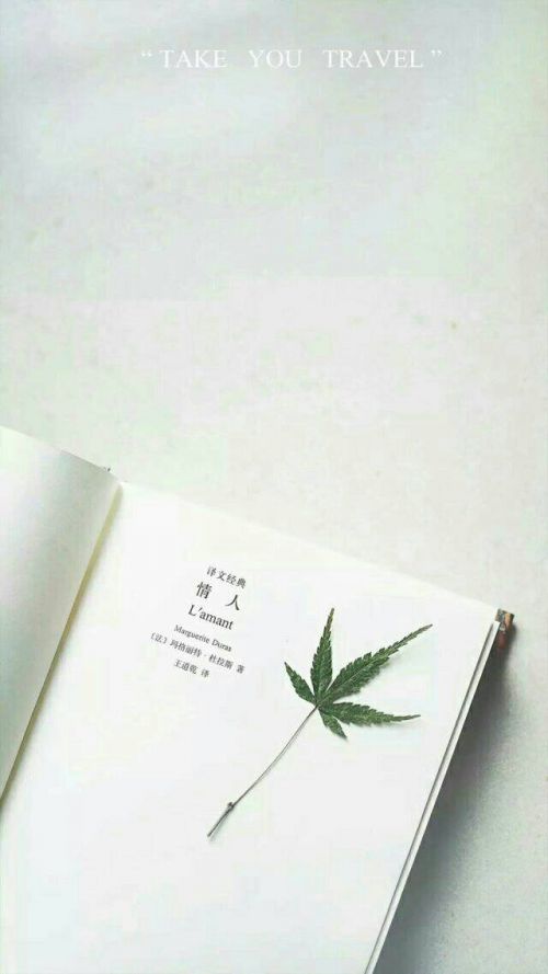 唯美意境小清新微信图片