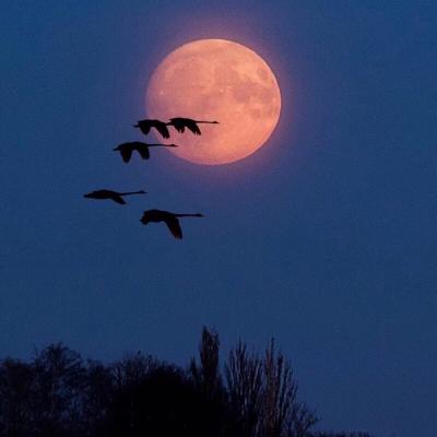 简单唯美微信风景头像