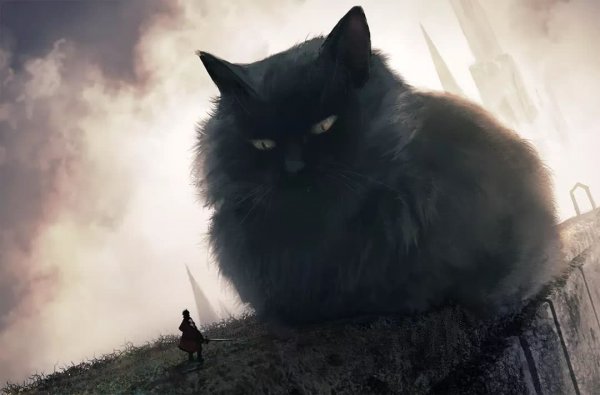 被放大后的动物治愈满满是不是呢？微信图片