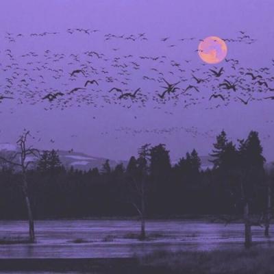 简单唯美微信风景头像