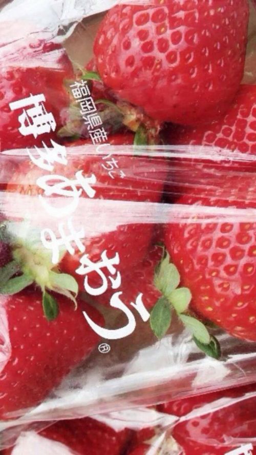 微信粉色女生聊天背景