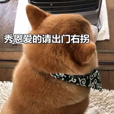 微信搞怪柴犬表情包