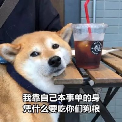 微信搞怪柴犬表情包