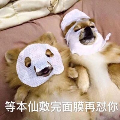 微信可爱喵星人表情包