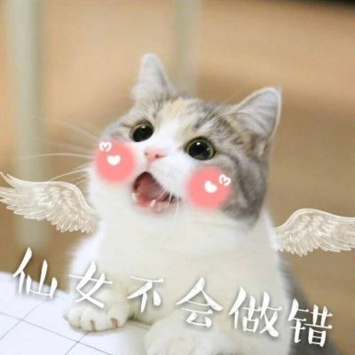 微信可爱喵星人表情包