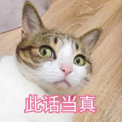 微信可爱喵星人表情包