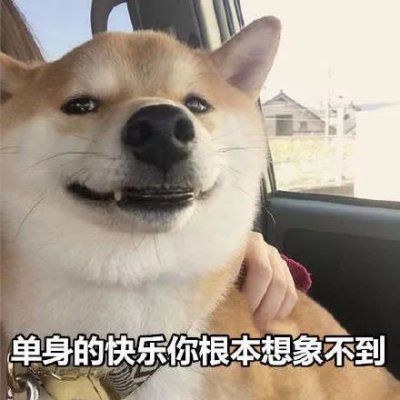 微信搞怪柴犬表情包