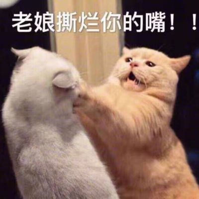 微信可爱喵星人表情包