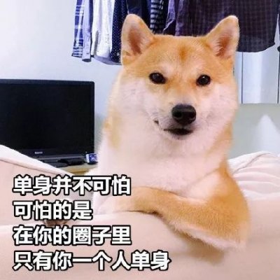 微信搞怪柴犬表情包