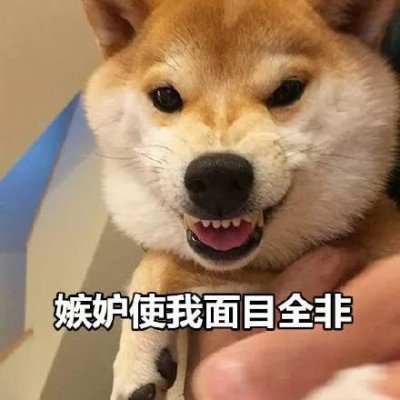 微信搞怪柴犬表情包