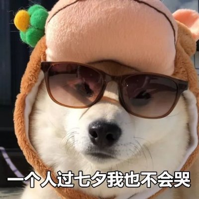 微信搞怪柴犬表情包