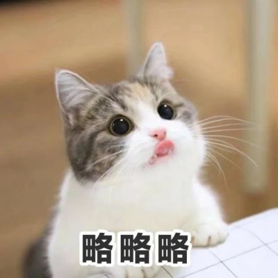 微信可爱喵星人表情包