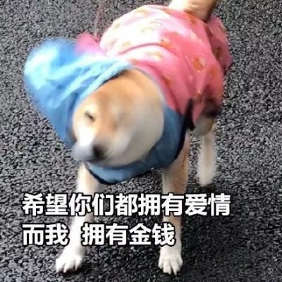 微信搞怪柴犬表情包