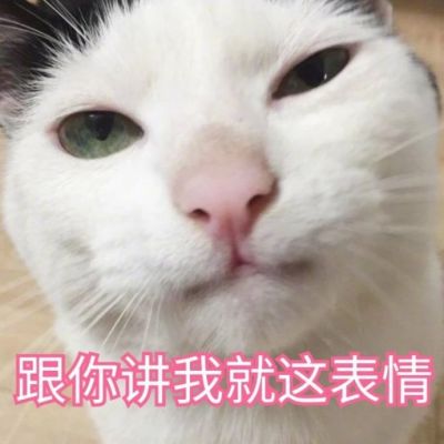 微信可爱喵星人表情包