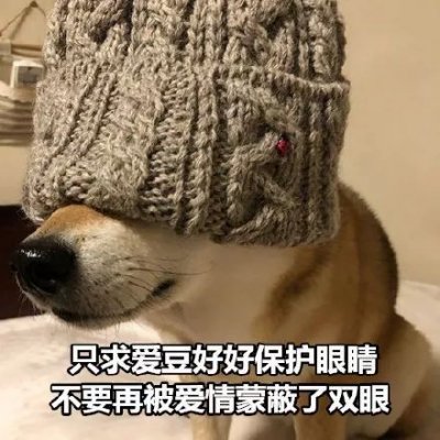 微信搞怪柴犬表情包