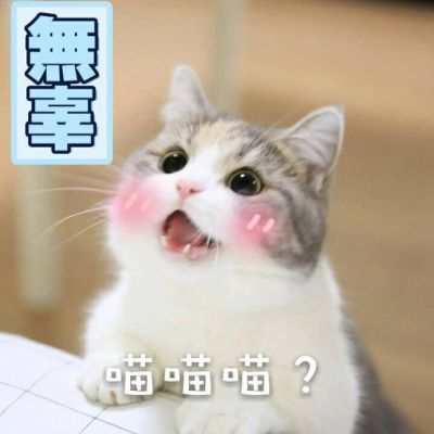 微信可爱喵星人表情包