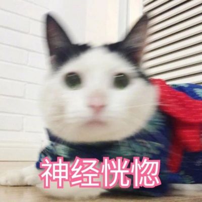 微信可爱喵星人表情包