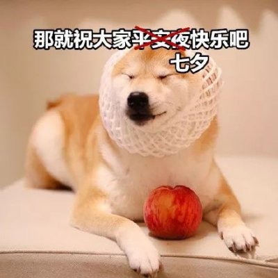 微信搞怪柴犬表情包