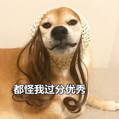 微信搞怪柴犬表情包
