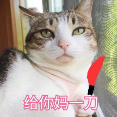 微信可爱喵星人表情包