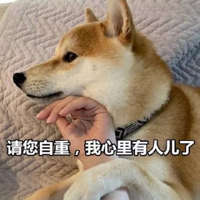 微信搞怪柴犬表情包