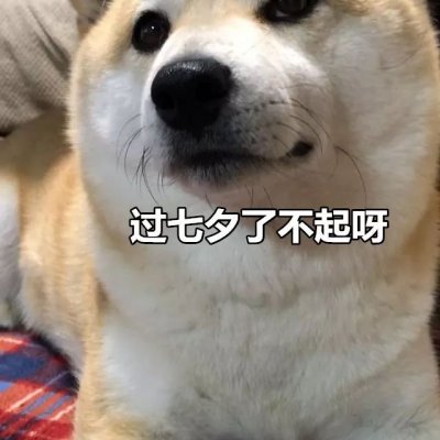 微信搞怪柴犬表情包