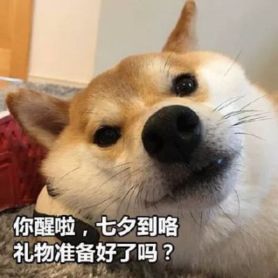 微信搞怪柴犬表情包