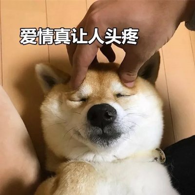 微信搞怪柴犬表情包