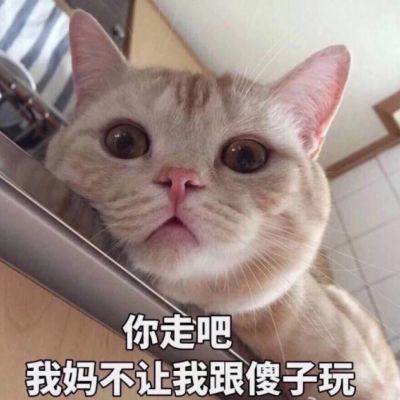 微信可爱喵星人表情包
