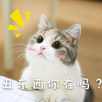 微信可爱喵星人表情包