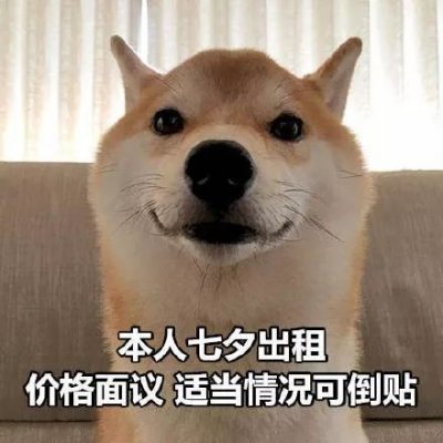 微信搞怪柴犬表情包