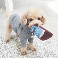 微信萌萌哒泰迪头像