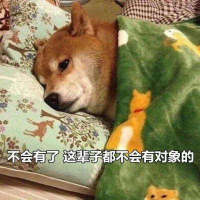 微信搞怪柴犬表情包
