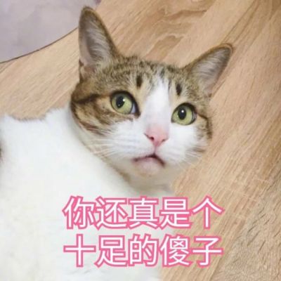 微信可爱喵星人表情包