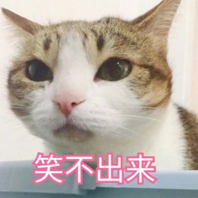 微信可爱喵星人表情包