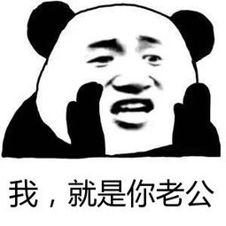 我是你老公微信恶搞表情包