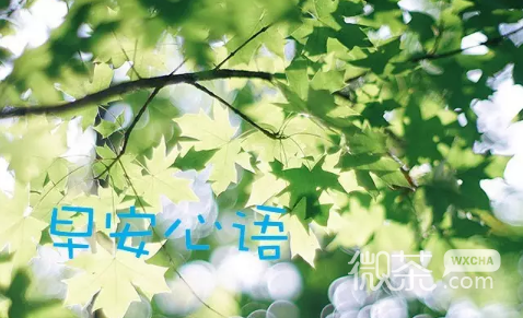 唯美早安微信图片