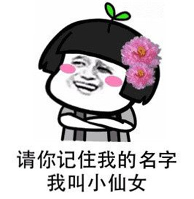 微信小仙女表情包
