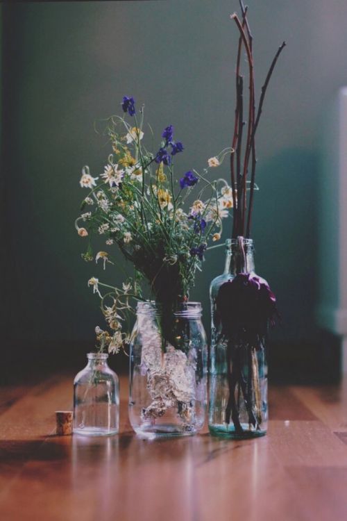 唯美植物微信聊天背景