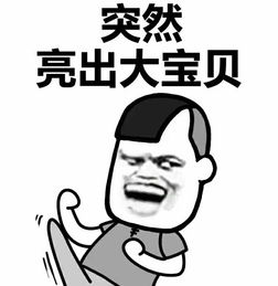 突然亮出大宝贝微信恶搞表情包