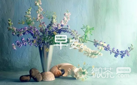 唯美早安微信图片