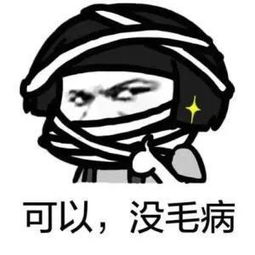 耶，老铁没毛病微信表情包